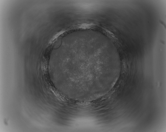 X0000101951158200808081459