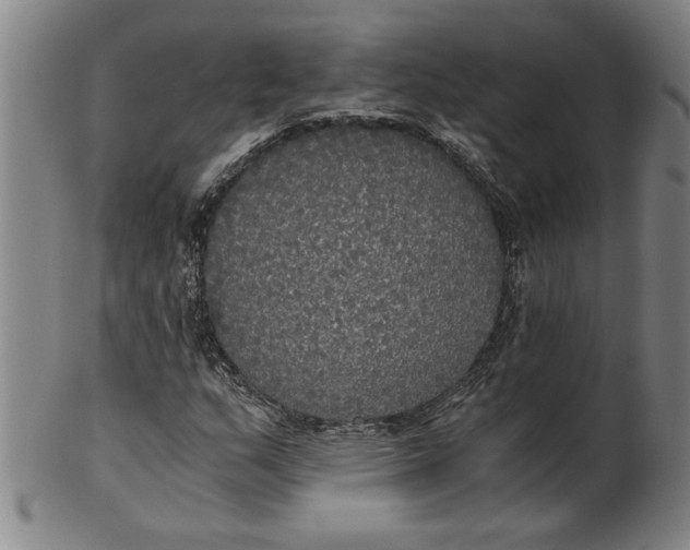 X0000101951159200808081459