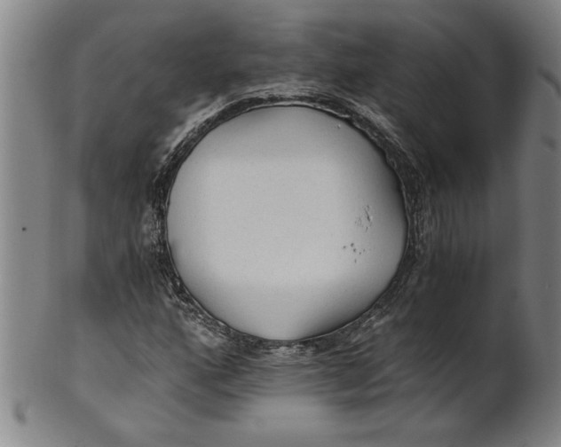 X0000101951160200808081459