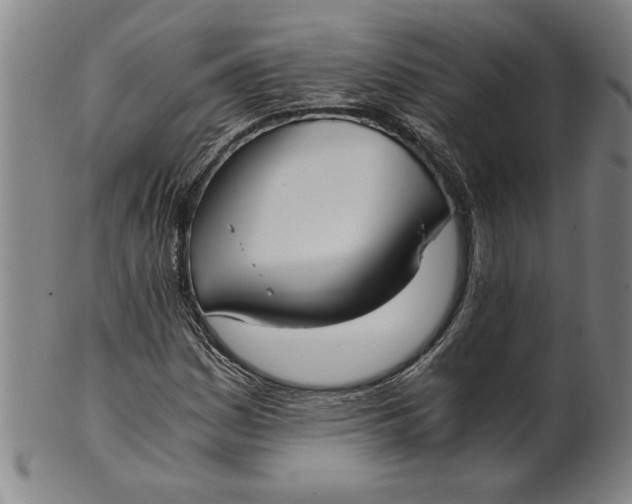 X0000101951161200808081459