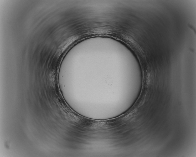 X0000101951162200808081459