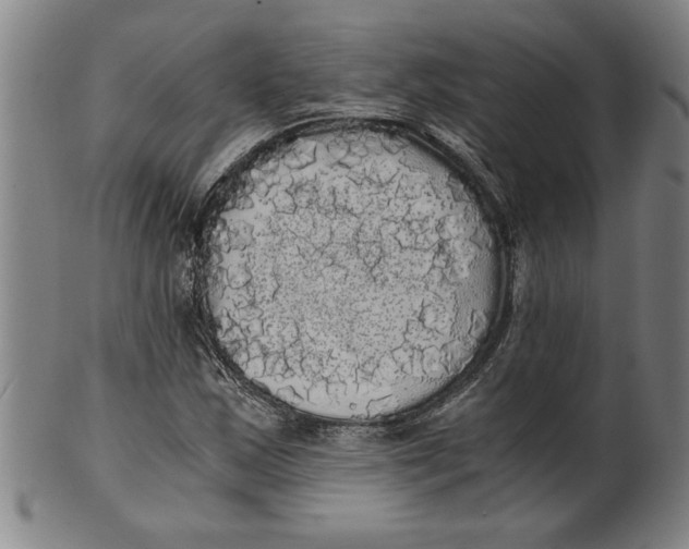 X0000101951163200808081459