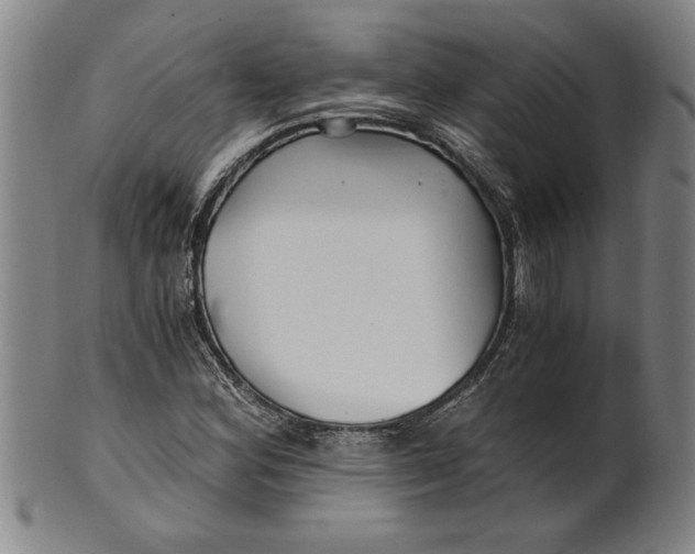 X0000101951164200808081459