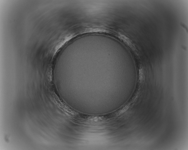 X0000101951165200808081459