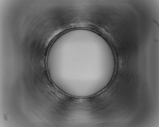 X0000101951166200808081459