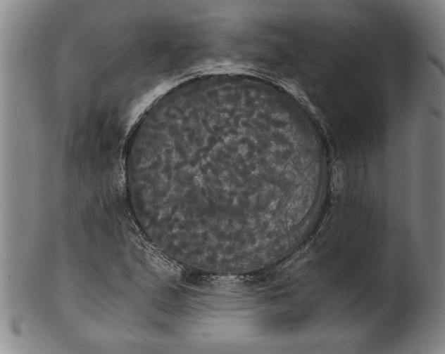 X0000101951167200808081459