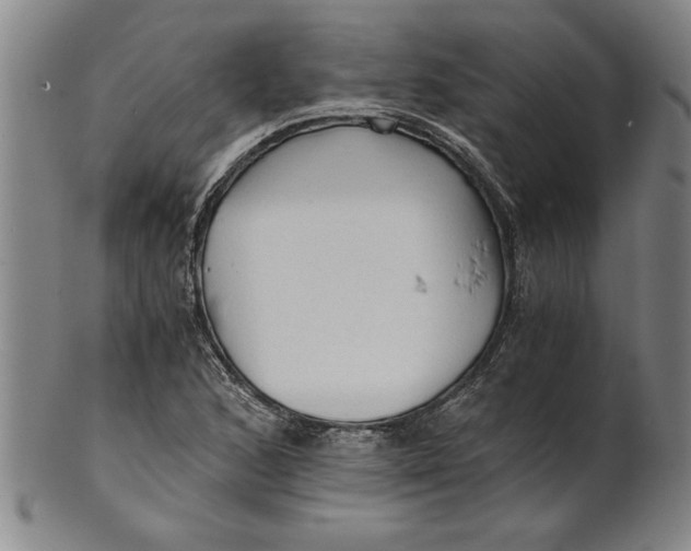X0000101951168200808081459