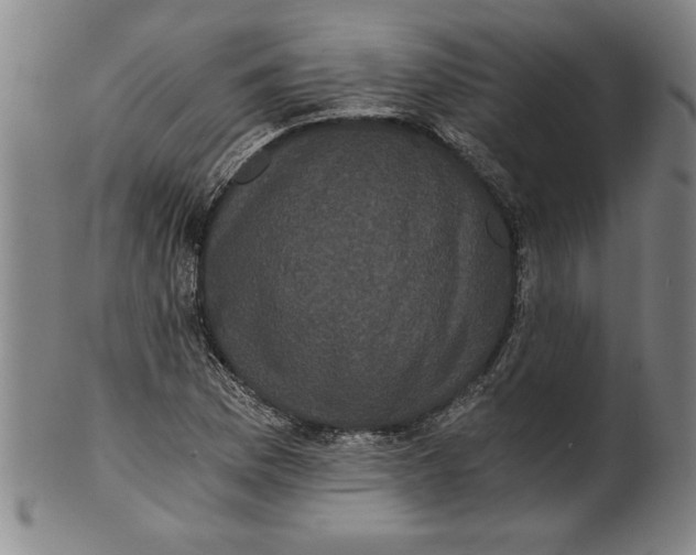 X0000101951169200808081459