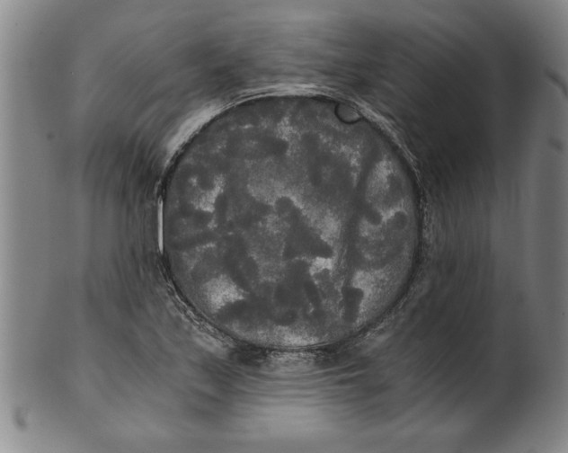 X0000101951171200808081459