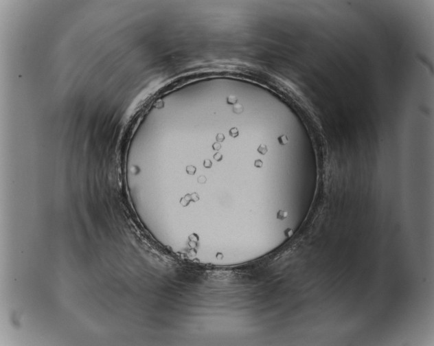 X0000101951172200808081459