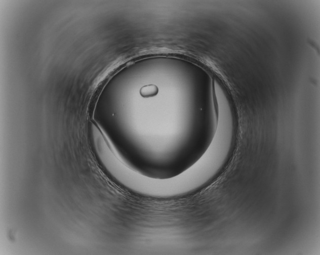 X0000101951173200808081459