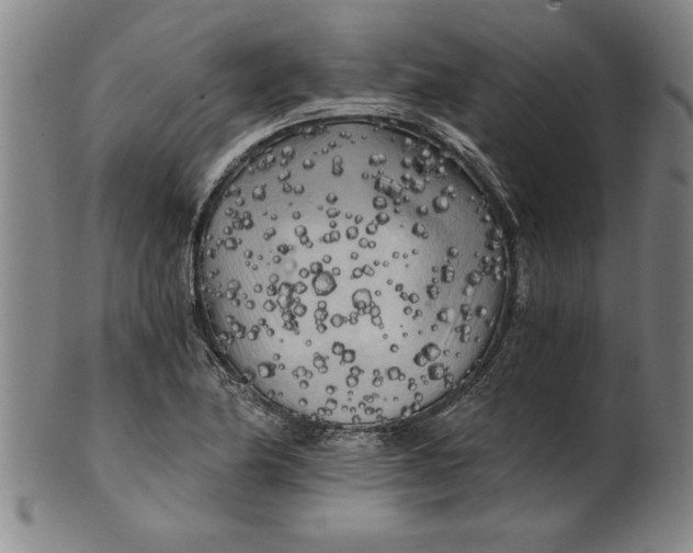 X0000101951174200808081459