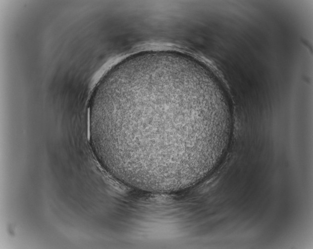 X0000101951175200808081459
