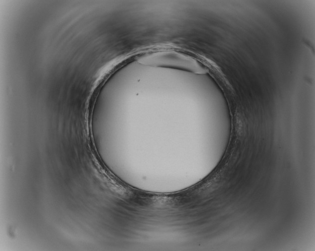 X0000101951176200808081459