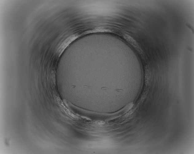X0000101951177200808081459