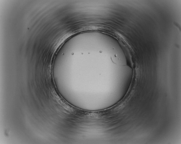 X0000101951178200808081459