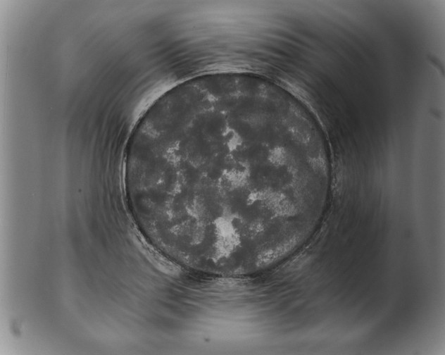 X0000101951179200808081459
