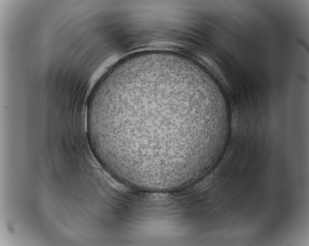 X0000101951180200808081459