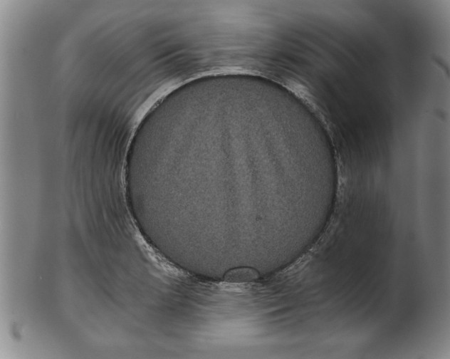 X0000101951181200808081459