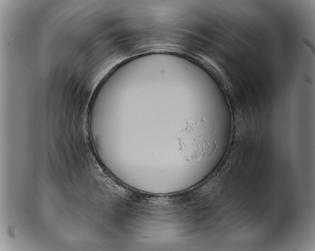 X0000101951182200808081459