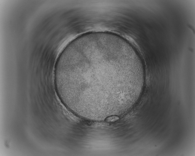 X0000101951183200808081459