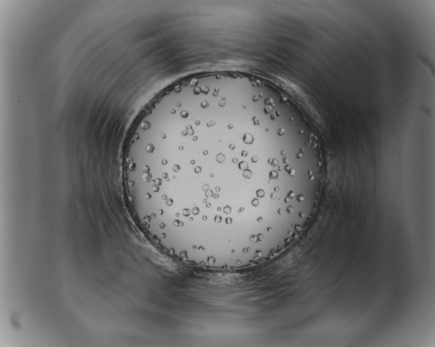 X0000101951184200808081459