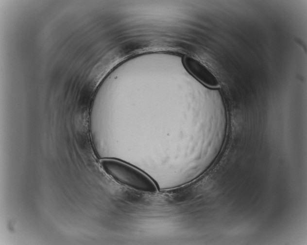 X0000101951185200808081459
