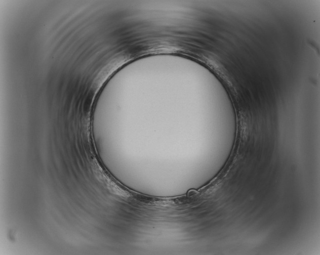 X0000101951186200808081459
