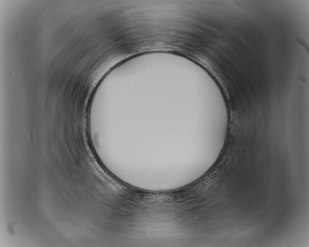X0000101951187200808081459