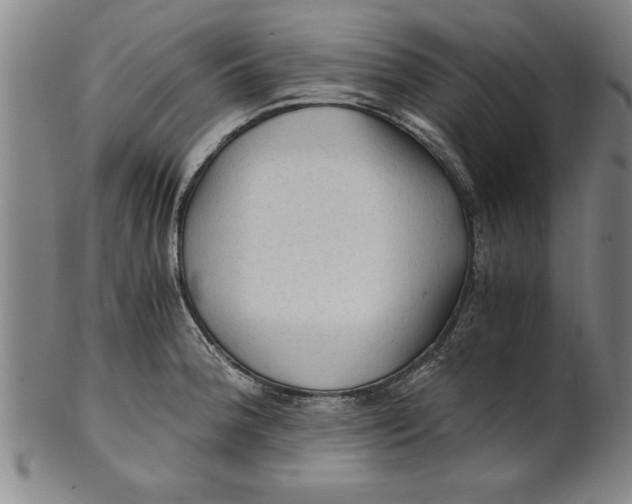 X0000101951188200808081459