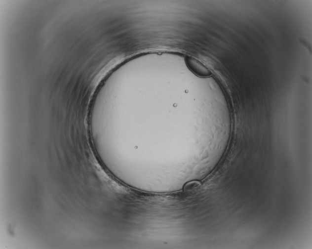 X0000101951189200808081459