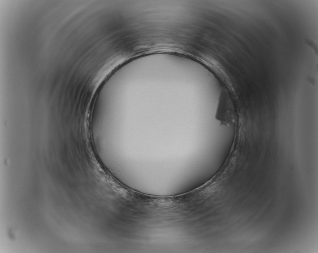 X0000101951190200808081459