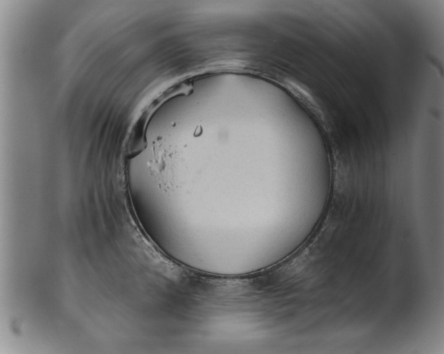 X0000101951192200808081459