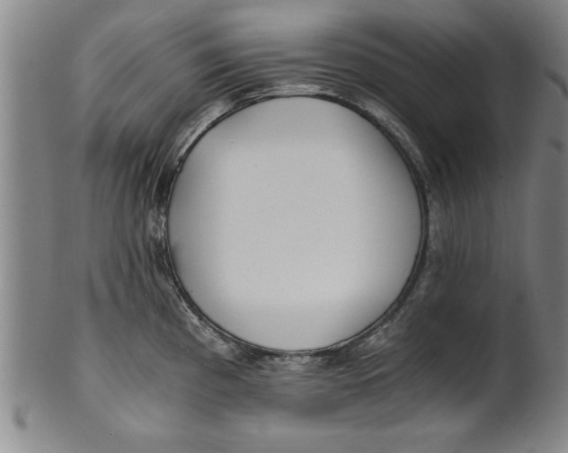 X0000101951193200808081459