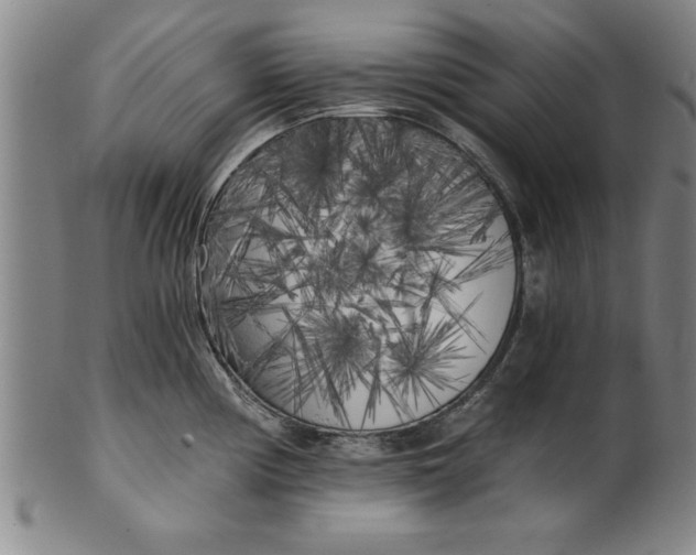 X0000101951194200808081459