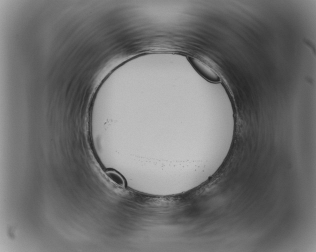 X0000101951195200808081459