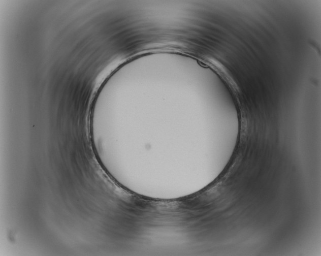 X0000101951196200808081459