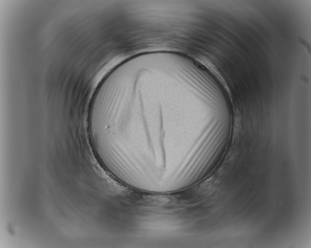 X0000101951197200808081459