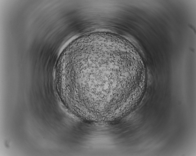 X0000101951198200808081459