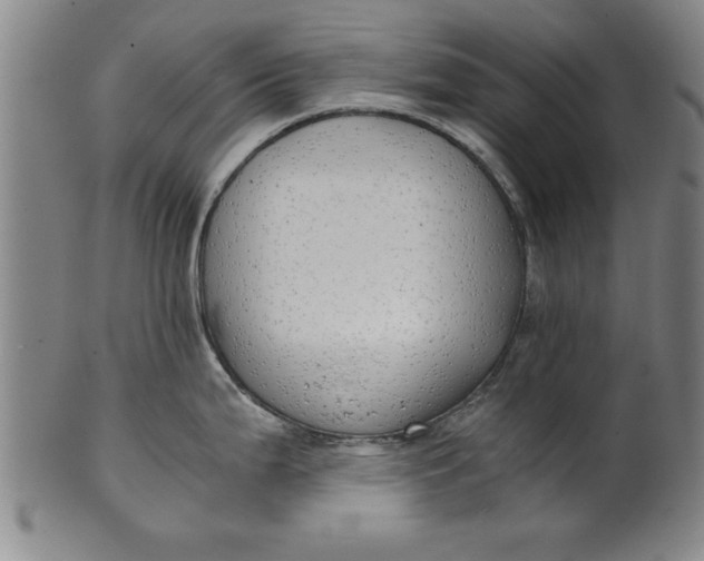 X0000101951199200808081459