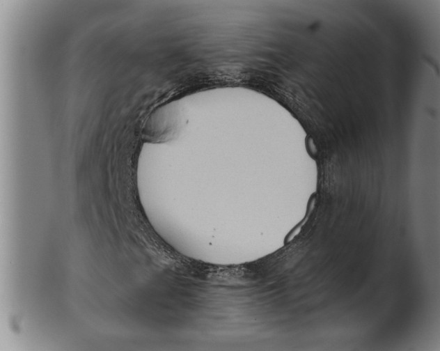 X0000101951201200808081458