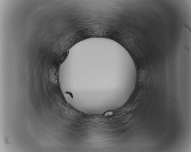 X0000101951202200808081458