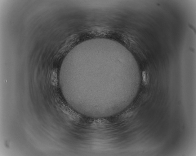 X0000101951203200808081458