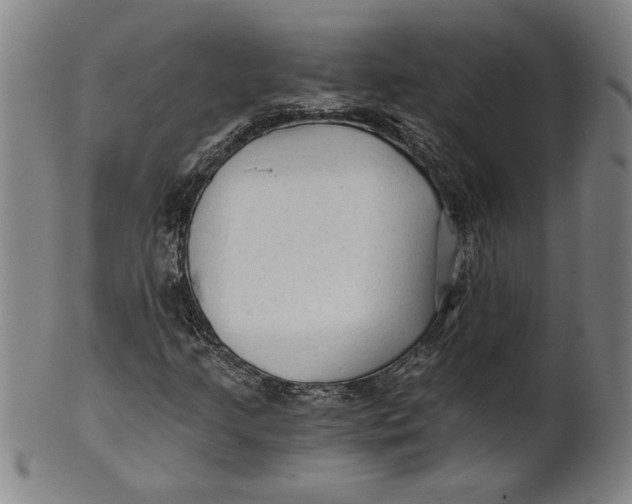 X0000101951205200808081458