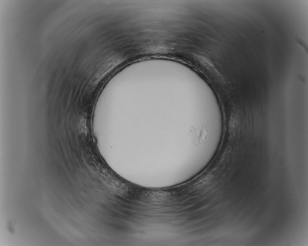 X0000101951209200808081458