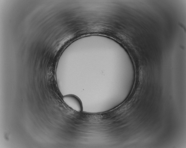 X0000101951210200808081458