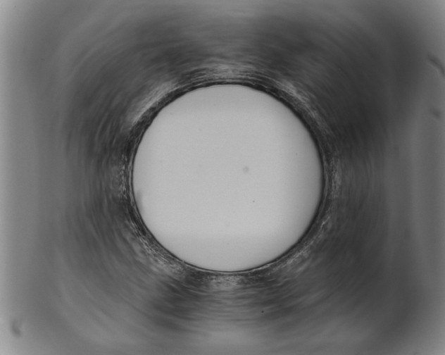 X0000101951211200808081458