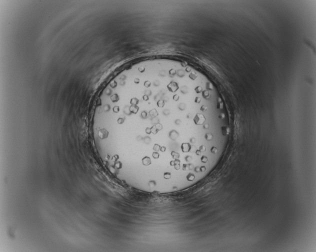 X0000101951212200808081458