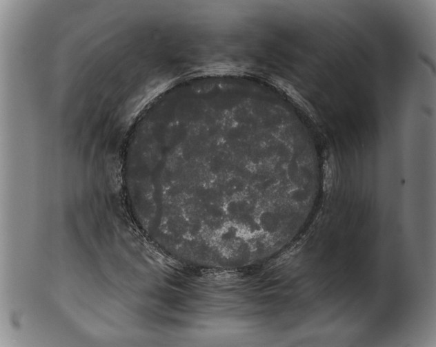 X0000101951213200808081458