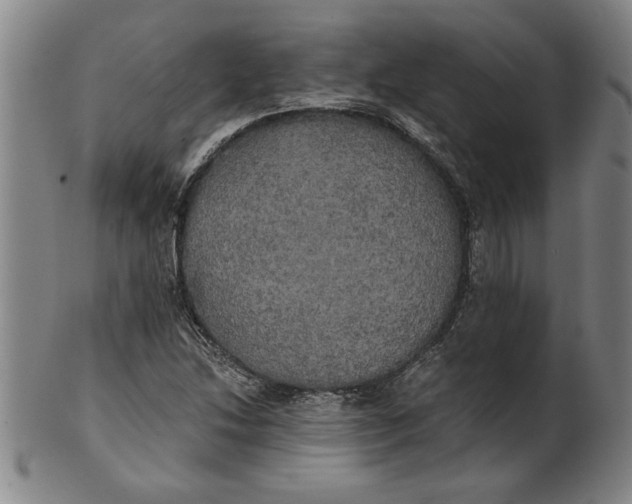 X0000101951214200808081458